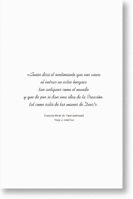 El Chamán y el Cristo